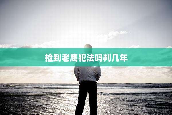 捡到老鹰犯法吗判几年