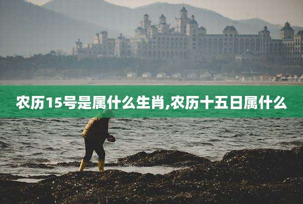 农历15号是属什么生肖,农历十五日属什么