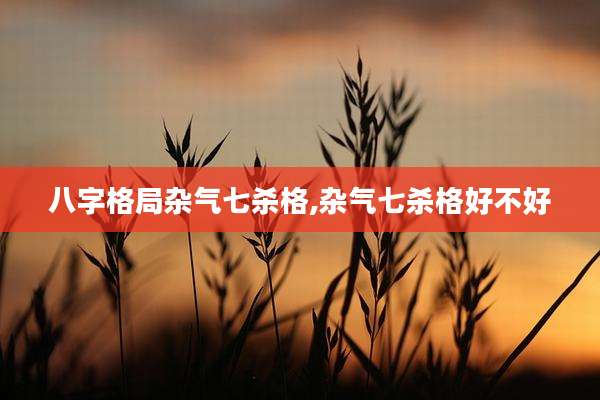八字格局杂气七杀格,杂气七杀格好不好