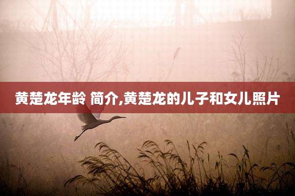 黄楚龙年龄 简介,黄楚龙的儿子和女儿照片