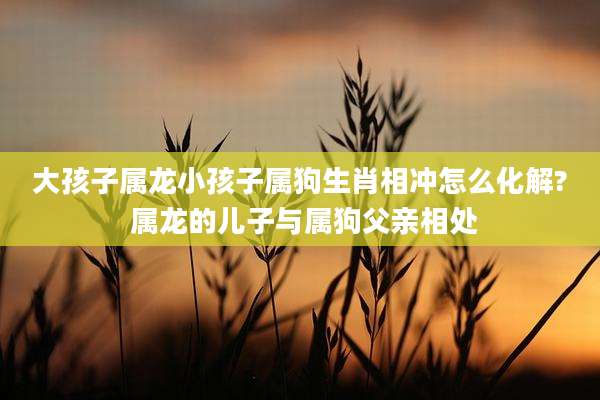 大孩子属龙小孩子属狗生肖相冲怎么化解? 属龙的儿子与属狗父亲相处