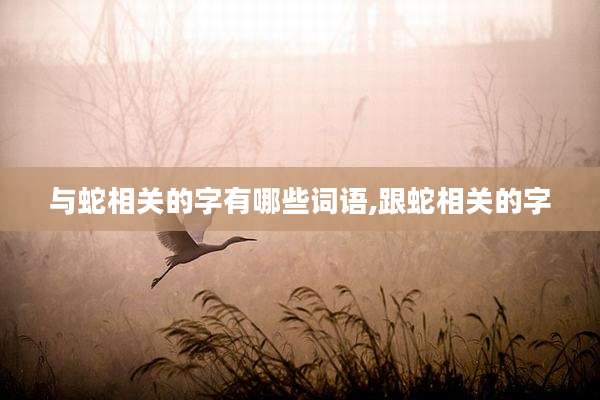 与蛇相关的字有哪些词语,跟蛇相关的字