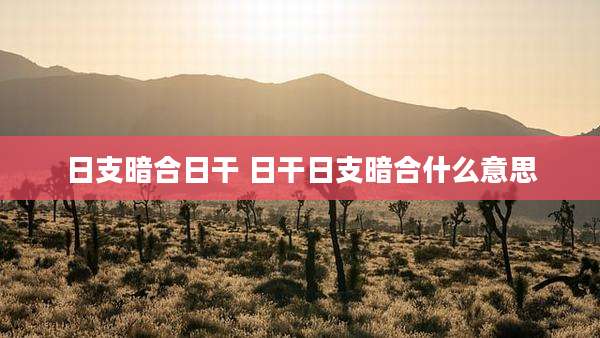 日支暗合日干 日干日支暗合什么意思