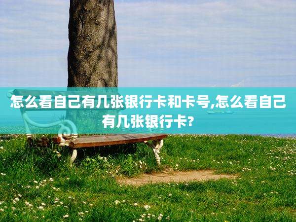怎么看自己有几张银行卡和卡号,怎么看自己有几张银行卡?