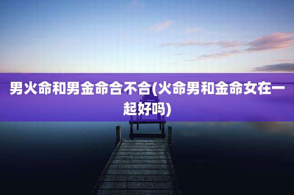 男火命和男金命合不合(火命男和金命女在一起好吗)