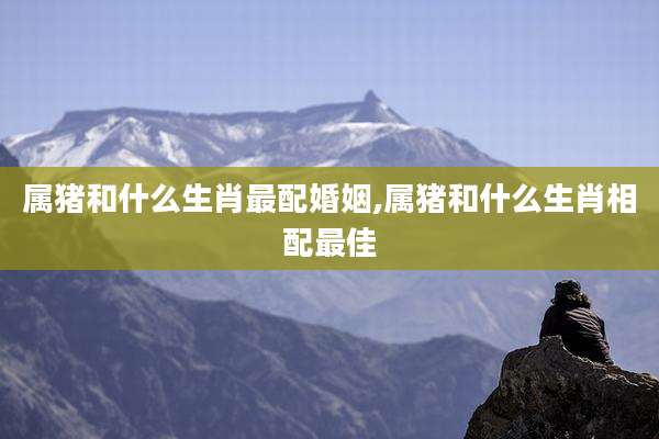 属猪和什么生肖最配婚姻,属猪和什么生肖相配最佳