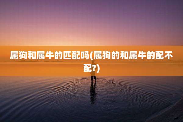 属狗和属牛的匹配吗(属狗的和属牛的配不配?)