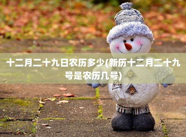 十二月二十九日农历多少(新历十二月二十九号是农历几号)