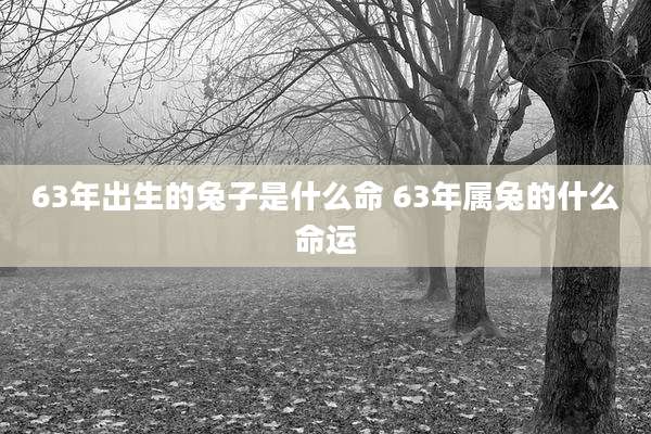 63年出生的兔子是什么命 63年属兔的什么命运
