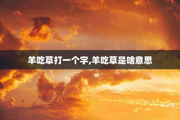 羊吃草打一个字,羊吃草是啥意思