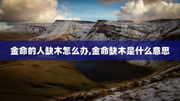 金命的人缺木怎么办,金命缺木是什么意思
