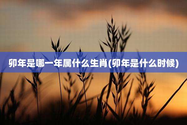 卯年是哪一年属什么生肖(卯年是什么时候)