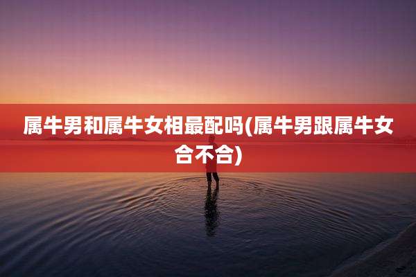 属牛男和属牛女相最配吗(属牛男跟属牛女合不合)
