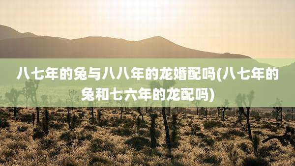 八七年的兔与八八年的龙婚配吗(八七年的兔和七六年的龙配吗)