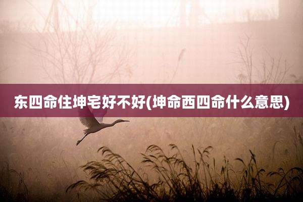 东四命住坤宅好不好(坤命西四命什么意思)