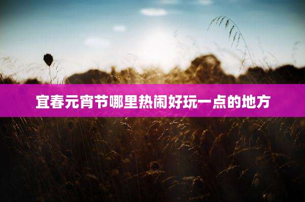 宜春元宵节哪里热闹好玩一点的地方