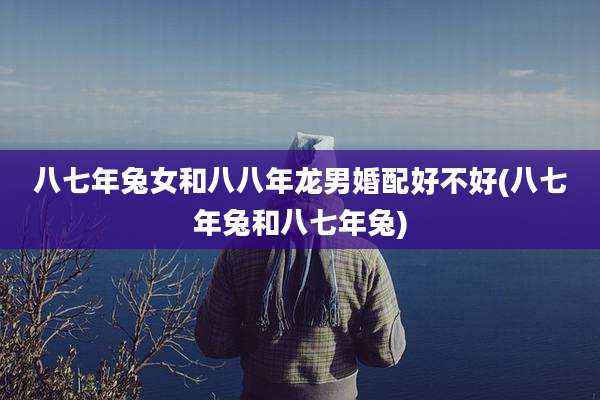 八七年兔女和八八年龙男婚配好不好(八七年兔和八七年兔)
