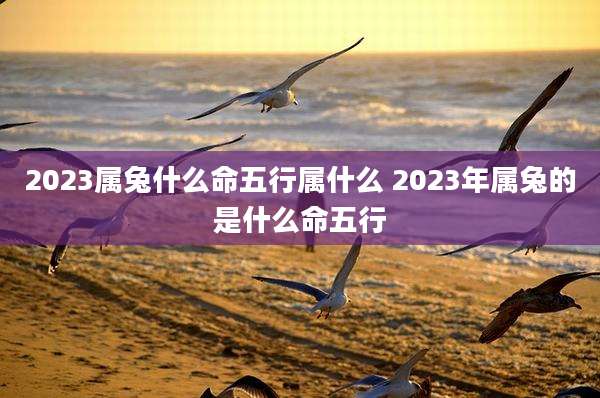 2023属兔什么命五行属什么 2023年属兔的是什么命五行