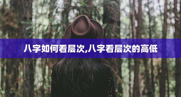 八字如何看层次,八字看层次的高低