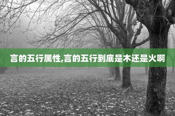 言的五行属性,言的五行到底是木还是火啊