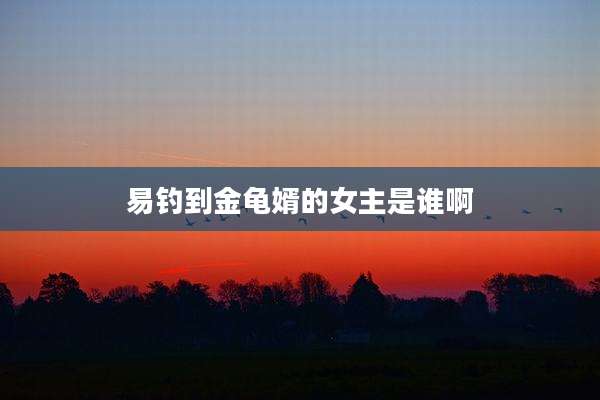 易钓到金龟婿的女主是谁啊