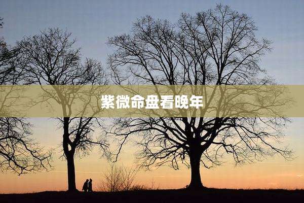 紫微命盘看晚年