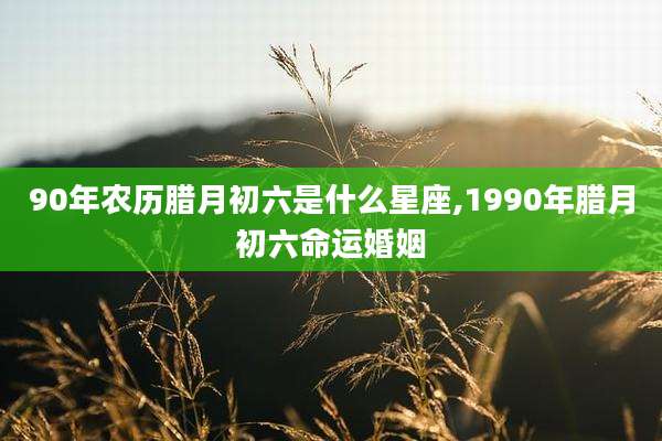 90年农历腊月初六是什么星座,1990年腊月初六命运婚姻