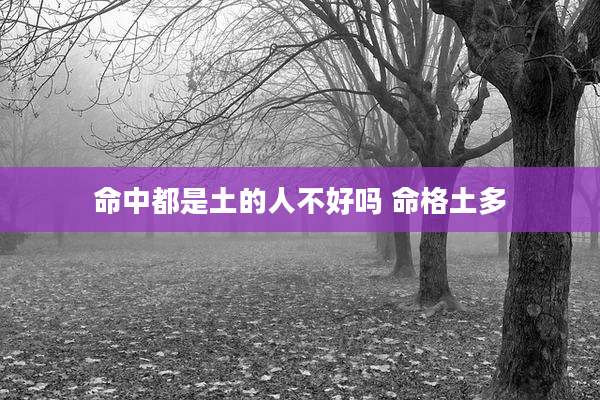 命中都是土的人不好吗 命格土多