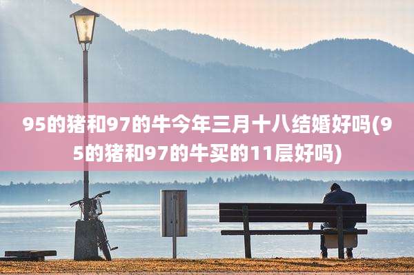95的猪和97的牛今年三月十八结婚好吗(95的猪和97的牛买的11层好吗)