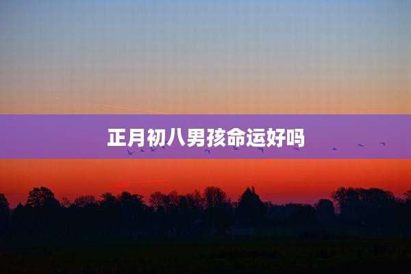 正月初八男孩命运好吗