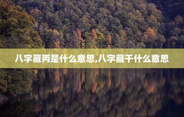 八字藏丙是什么意思,八字藏干什么意思