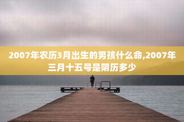 2007年农历3月出生的男孩什么命,2007年三月十五号是阴历多少