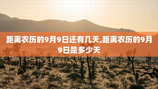 距离农历的9月9日还有几天,距离农历的9月9日是多少天