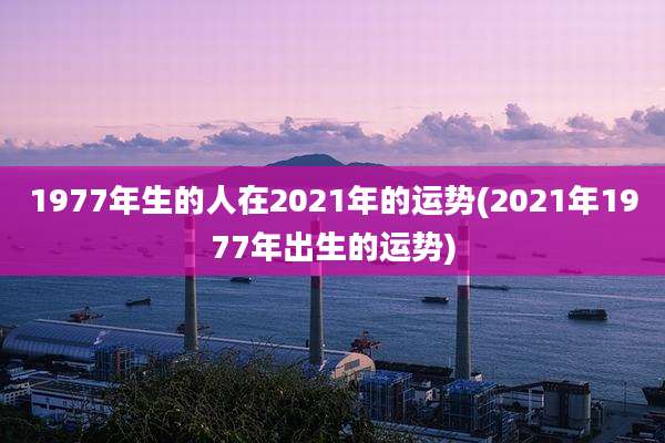 1977年生的人在2021年的运势(2021年1977年出生的运势)