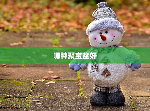 哪种聚宝盆好