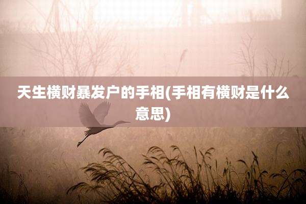天生横财暴发户的手相(手相有横财是什么意思)