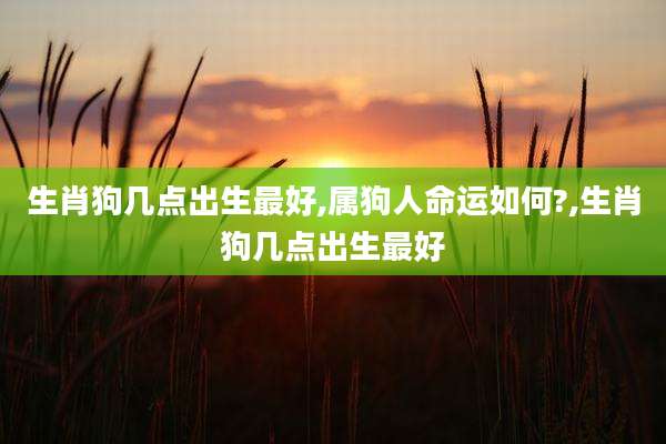 生肖狗几点出生最好,属狗人命运如何?,生肖狗几点出生最好