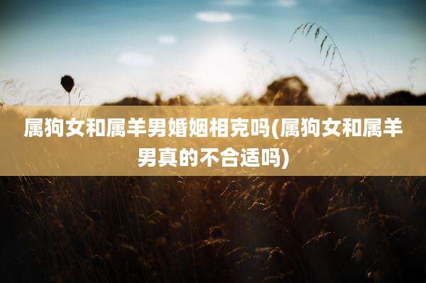 属狗女和属羊男婚姻相克吗(属狗女和属羊男真的不合适吗)