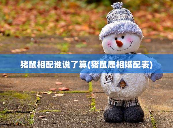 猪鼠相配谁说了算(猪鼠属相婚配表)