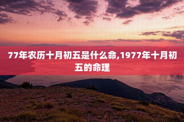 77年农历十月初五是什么命,1977年十月初五的命理