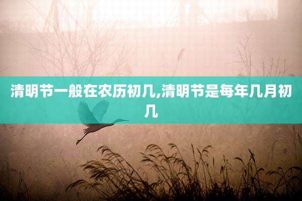 清明节一般在农历初几,清明节是每年几月初几