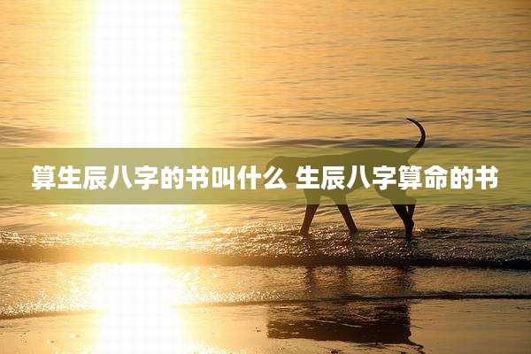 算生辰八字的书叫什么 生辰八字算命的书