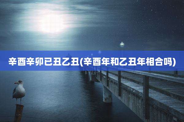 辛酉辛卯已丑乙丑(辛酉年和乙丑年相合吗)