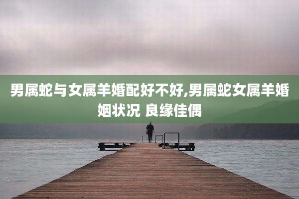 男属蛇与女属羊婚配好不好,男属蛇女属羊婚姻状况 良缘佳偶