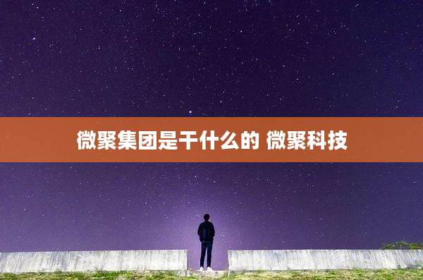 微聚集团是干什么的 微聚科技
