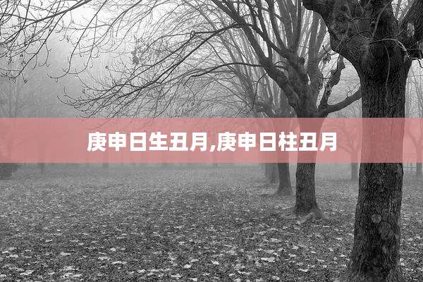 庚申日生丑月,庚申日柱丑月