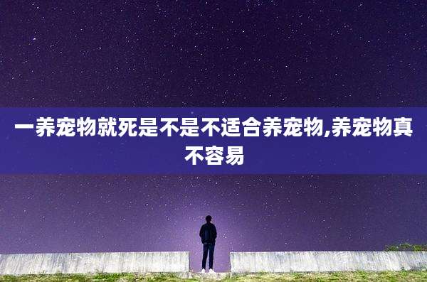 一养宠物就死是不是不适合养宠物,养宠物真不容易
