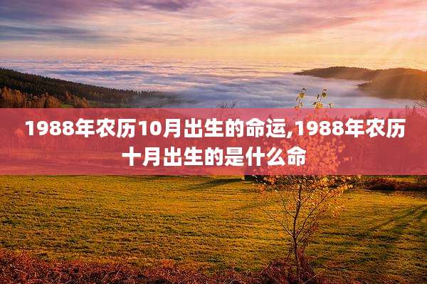 1988年农历10月出生的命运,1988年农历十月出生的是什么命