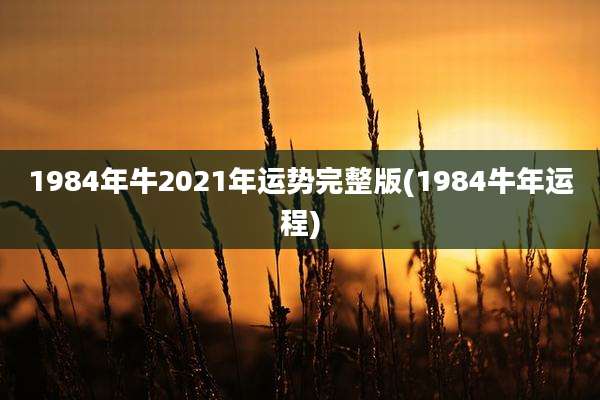 1984年牛2021年运势完整版(1984牛年运程)