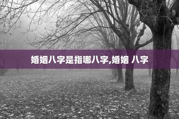 婚姻八字是指哪八字,婚姻 八字